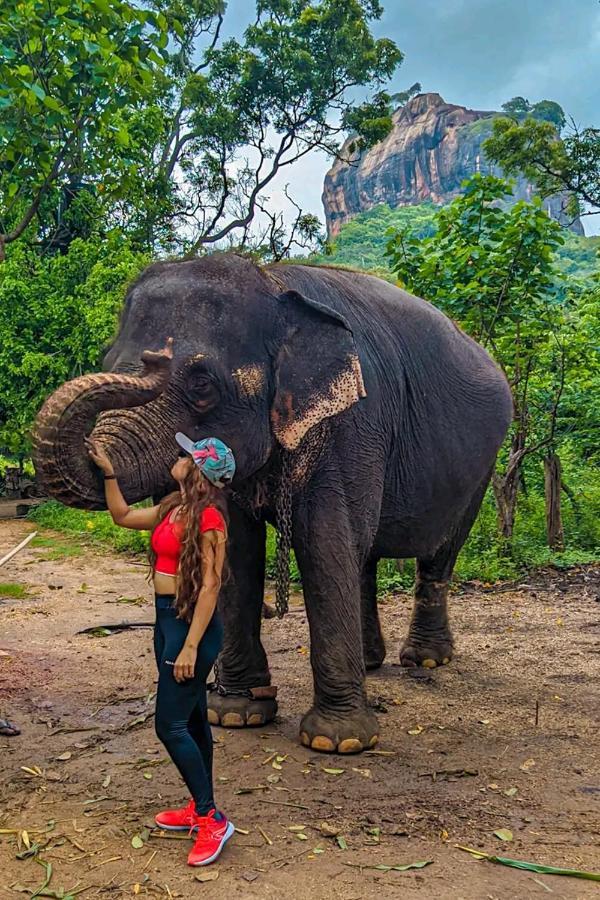 Lakmal Homestay ,10 Minutes To Sigiriya Rock Luaran gambar