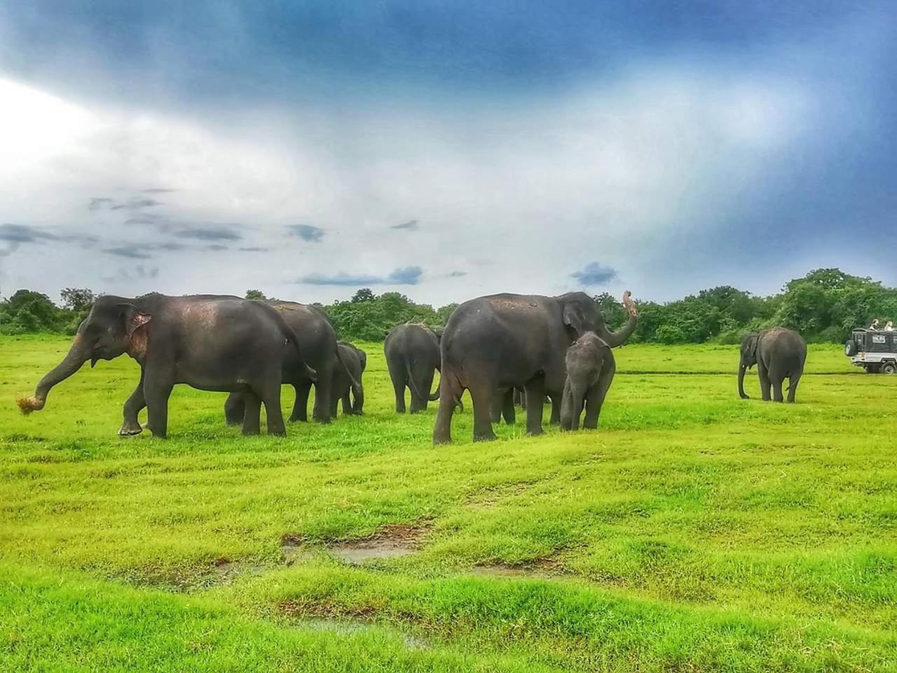Lakmal Homestay ,10 Minutes To Sigiriya Rock Luaran gambar